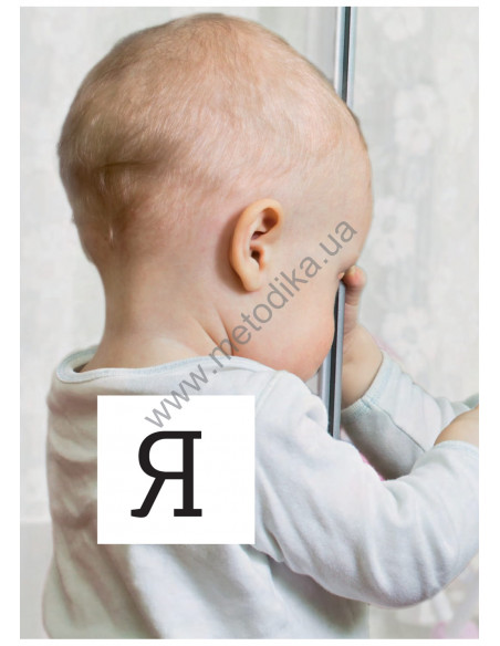 English Візуальний словник. Картинка за картинкою - англо-український словник - фото 11