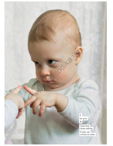 English Візуальний словник. Картинка за картинкою - англо-український словник - фото 12