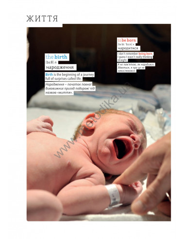 English Візуальний словник. Картинка за картинкою - англо-український словник - фото 13