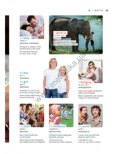 English Візуальний словник. Картинка за картинкою - англо-український словник - фото 14