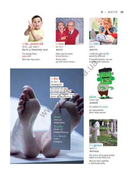 English Візуальний словник. Картинка за картинкою - англо-український словник - фото 16