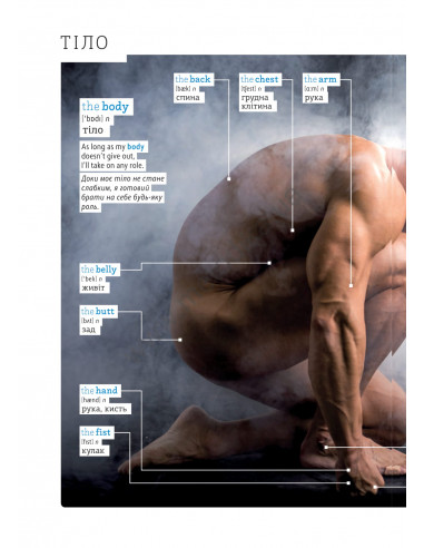 English Візуальний словник. Картинка за картинкою - англо-український словник - фото 17