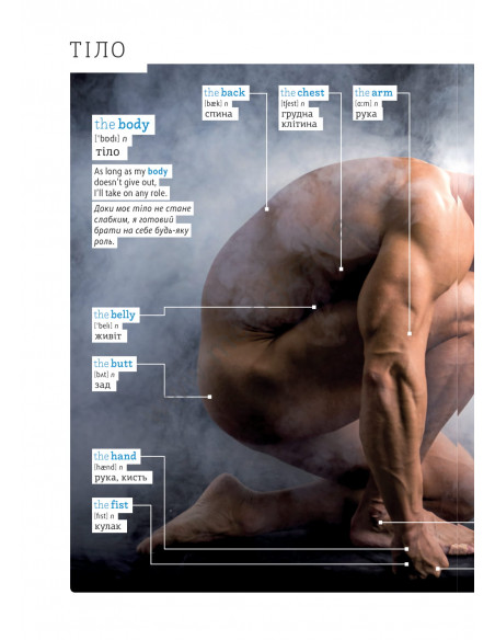 English Візуальний словник. Картинка за картинкою - англо-український словник - фото 17