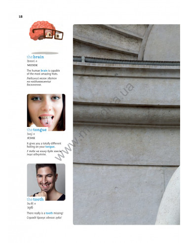 English Візуальний словник. Картинка за картинкою - англо-український словник - фото 19