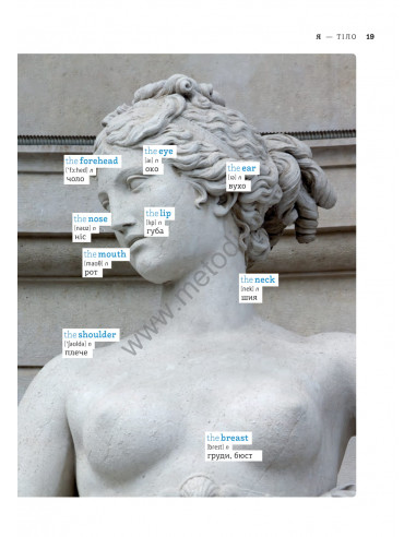 English Візуальний словник. Картинка за картинкою - англо-український словник - фото 20