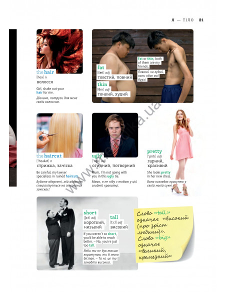 English Візуальний словник. Картинка за картинкою - англо-український словник - фото 22