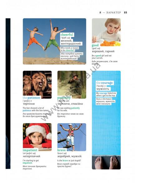 English Візуальний словник. Картинка за картинкою - англо-український словник - фото 24