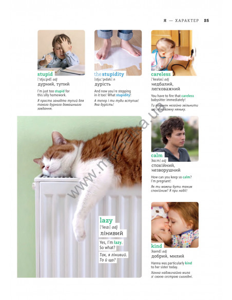 English Візуальний словник. Картинка за картинкою - англо-український словник - фото 26