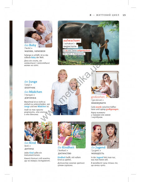 Deutsch Візуальний словник. Картинка за картинкою - німецько-український словник - фото 14
