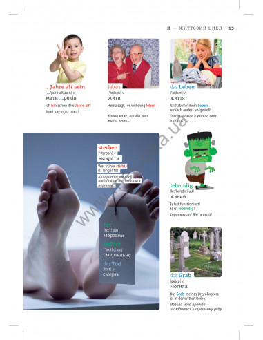 Deutsch Візуальний словник. Картинка за картинкою - німецько-український словник - фото 16