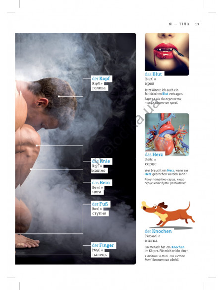 Deutsch Візуальний словник. Картинка за картинкою - німецько-український словник - фото 18