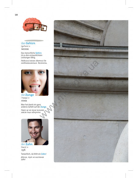 Deutsch Візуальний словник. Картинка за картинкою - німецько-український словник - фото 19