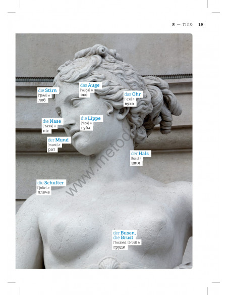 Deutsch Візуальний словник. Картинка за картинкою - німецько-український словник - фото 20