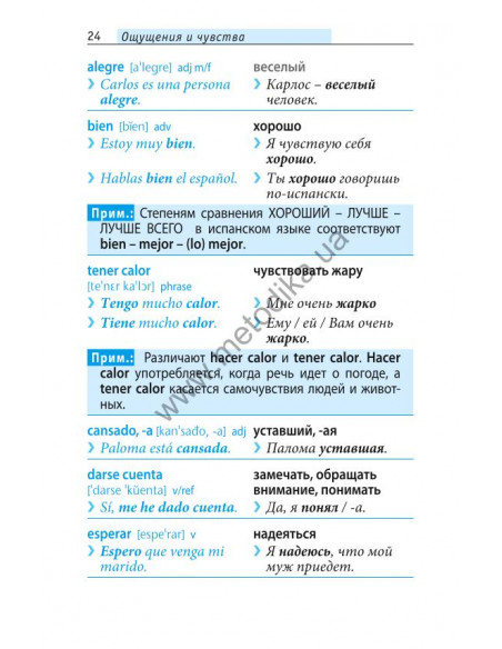 Начни говорить по-испански - 1000 слов, которые тебе действительно нужны - фото 23