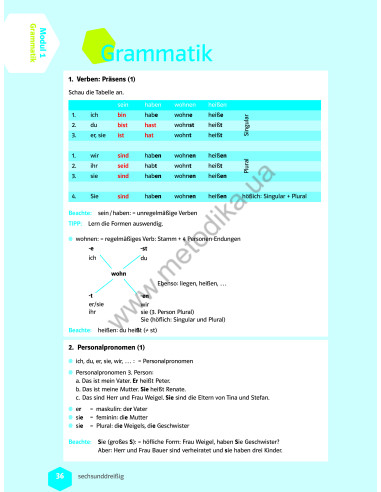 Wir neu A 1.1 Lehrbuch und Arbeitsbuch - підручник і робочий зошит - фото 19