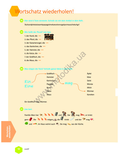 Wir neu A 1.2 Lehrbuch und Arbeitsbuch - підручник і робочий зошит - фото 13