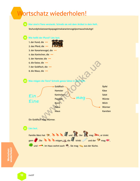 Wir neu A 1.2 Lehrbuch und Arbeitsbuch - підручник і робочий зошит - фото 13