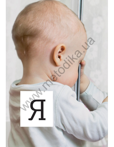 Français Візуальний словник. Картинка за картинкою - французько-український словник - фото 11