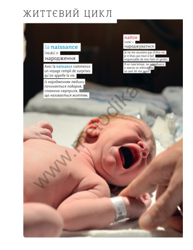 Français Візуальний словник. Картинка за картинкою - французько-український словник - фото 13