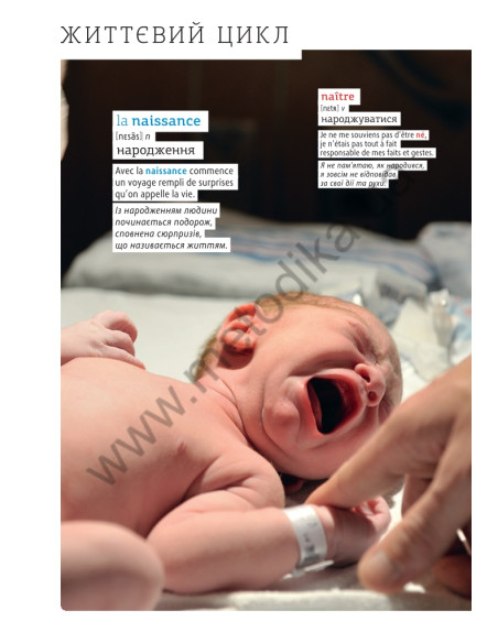 Français Візуальний словник. Картинка за картинкою - французько-український словник - фото 13
