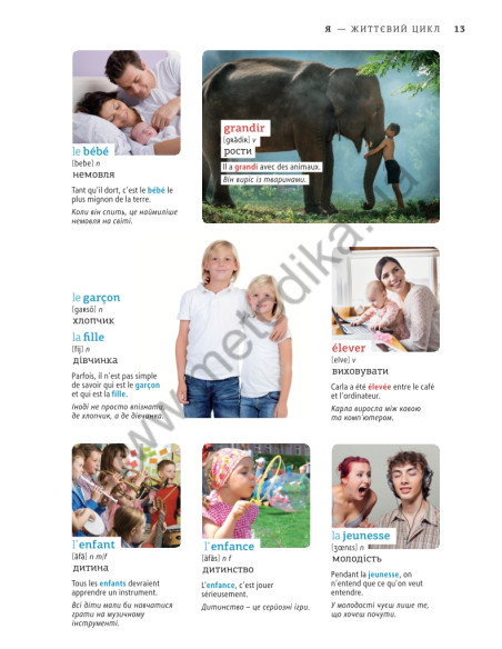 Français Візуальний словник. Картинка за картинкою - французько-український словник - фото 14
