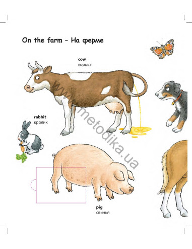 My first English words - Животные (рос.) - дитяча книга - фото 4