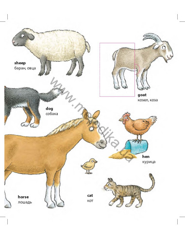 My first English words - Животные (рос.) - дитяча книга - фото 5