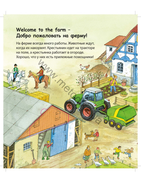 My first English words - Ферма (рос.) - дитяча книга - фото 2