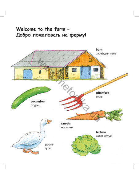 My first English words - Ферма (рос.) - дитяча книга - фото 4