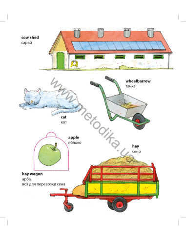 My first English words - Ферма (рос.) - дитяча книга - фото 5