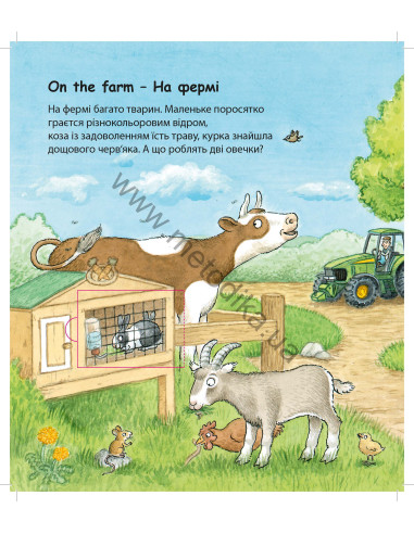 My first English words - Тварини (укр.) - дитяча книга - фото 2