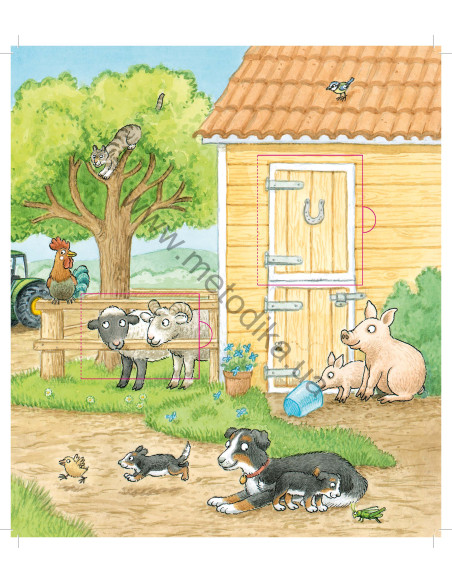 My first English words - Тварини (укр.) - дитяча книга - фото 3