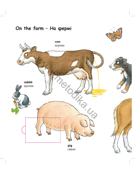 My first English words - Тварини (укр.) - дитяча книга - фото 4
