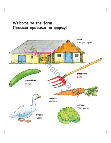 My first English words - Ферма (укр.) - дитяча книга - фото 4