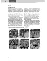 Joy of English 7. Тести для 7-го класу ЗНЗ (3-й рік навчання, 2-га іноземна мова) - фото 11